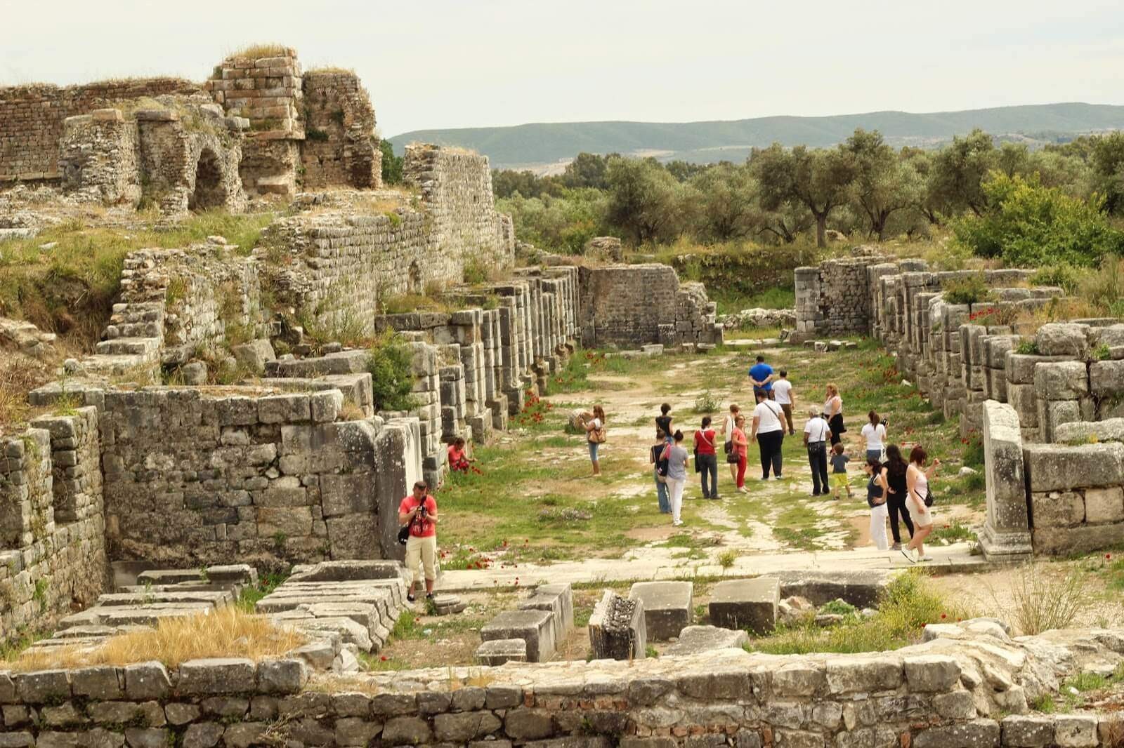 Priene, Miletos & Didyma Tour (PrivateTour)