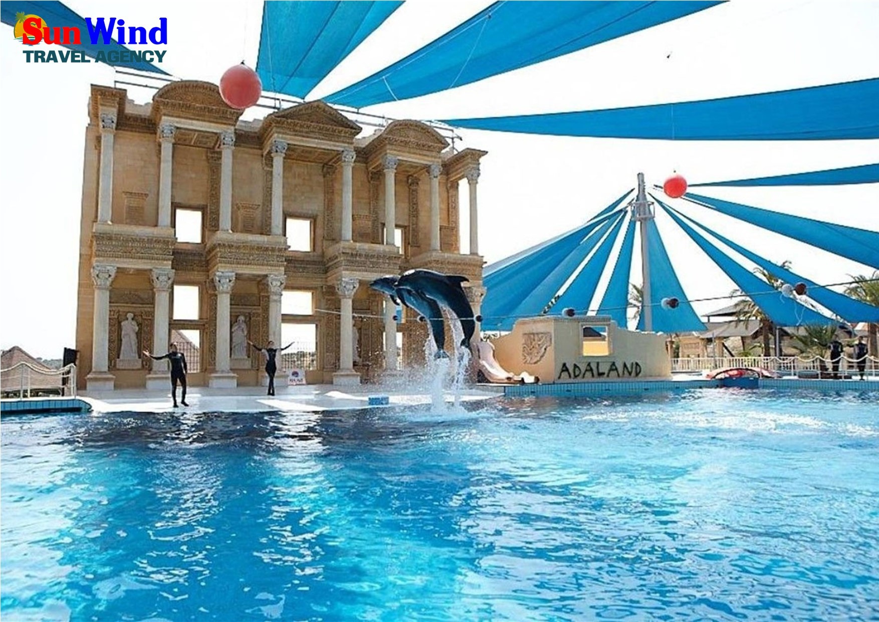 Dolphin & Seal Shows