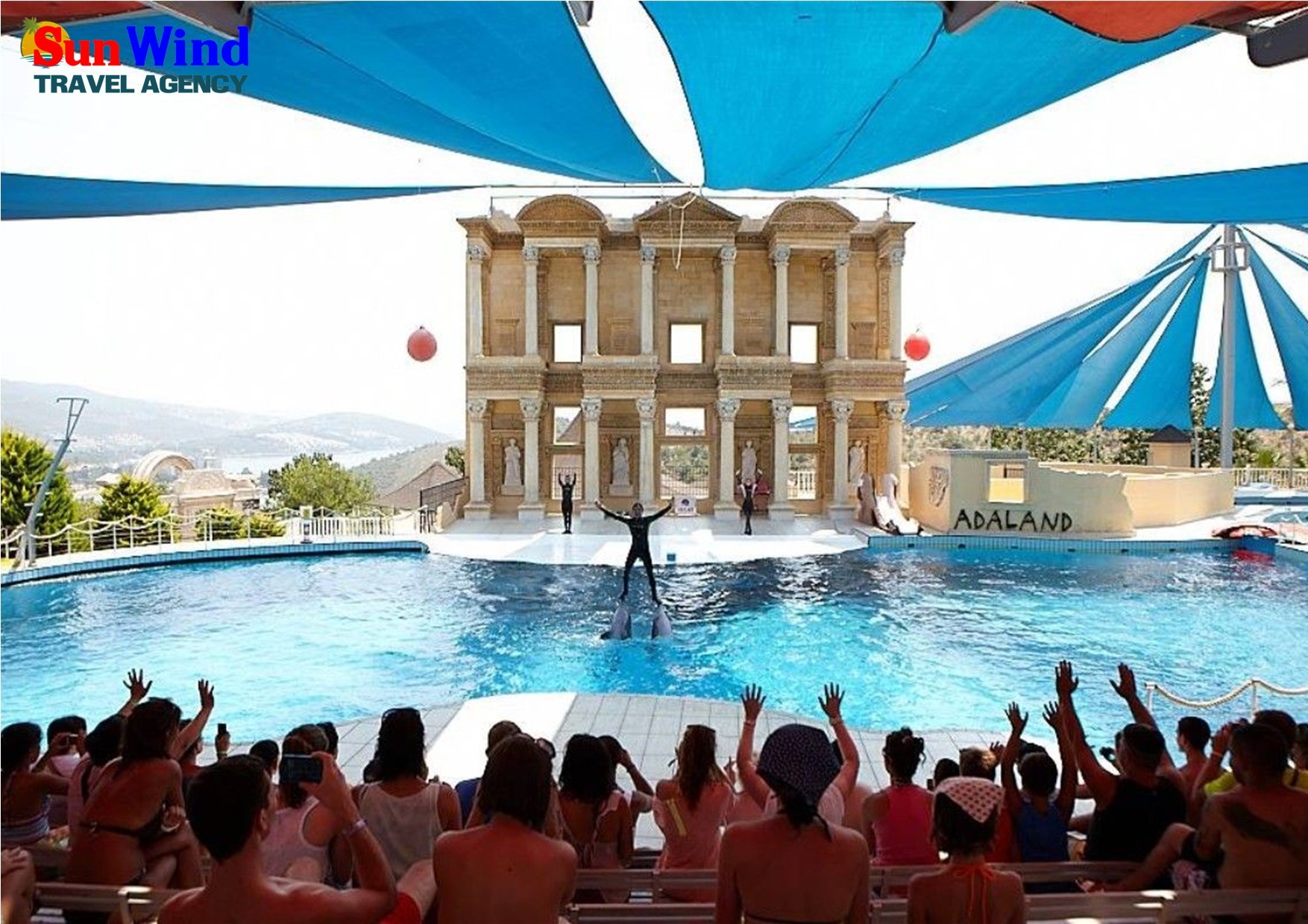 Dolphin & Seal Shows