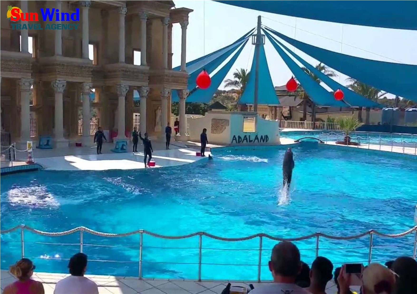 Dolphin & Seal Shows