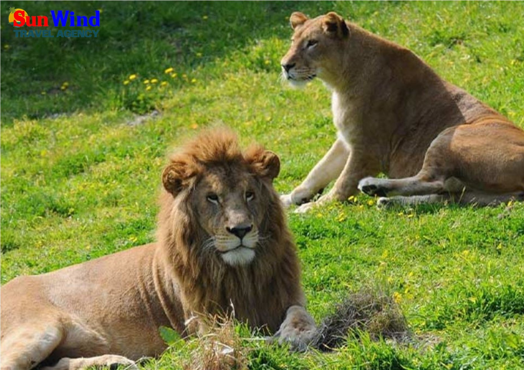 Izmir Zoo Park Tour (PrivateTour)