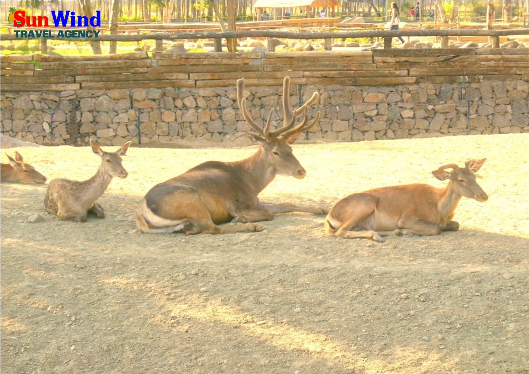 Izmir Zoo Park Tour (PrivateTour)
