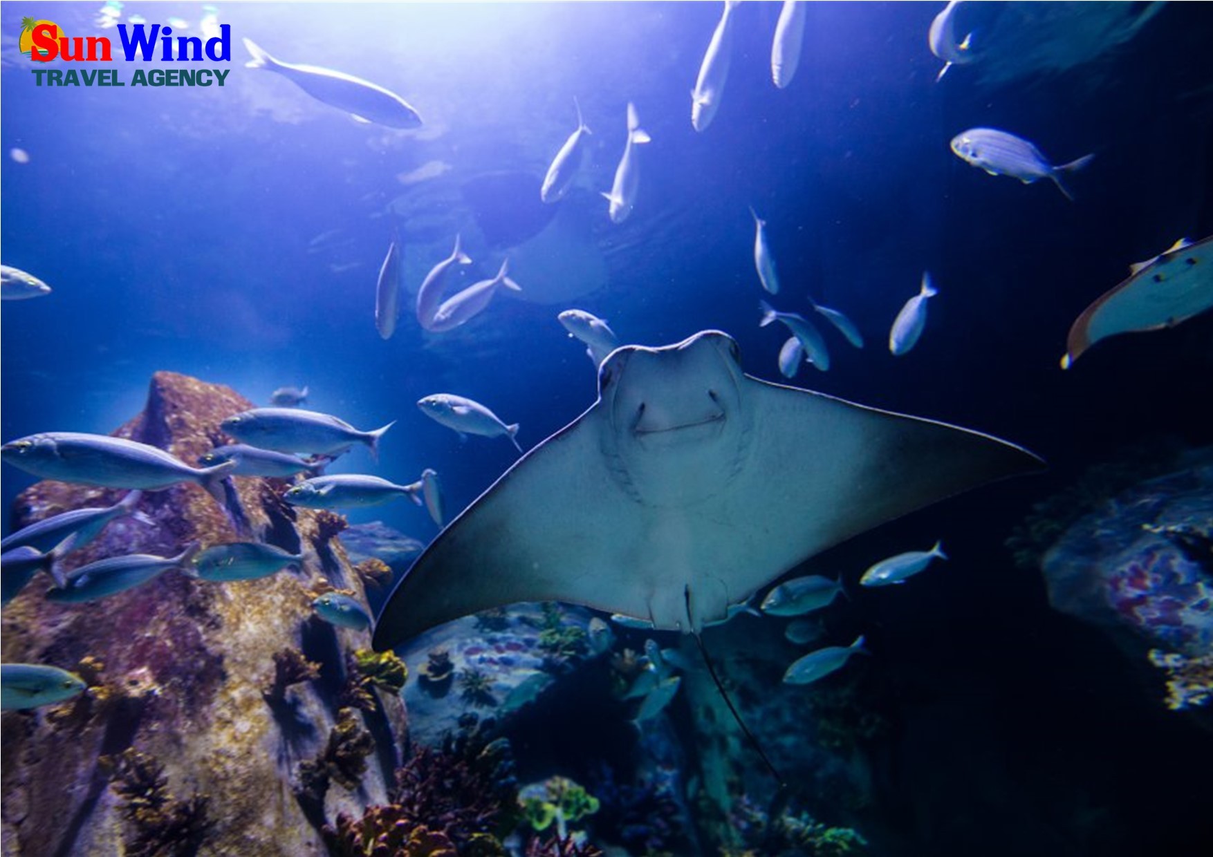 Izmir Funtastic Aquarium & West Park Outlet Shopping Tour (PrivateTour)